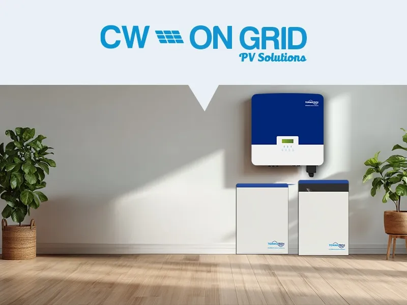 On-Grid Sistemler — CW Enerji sistem çözümü